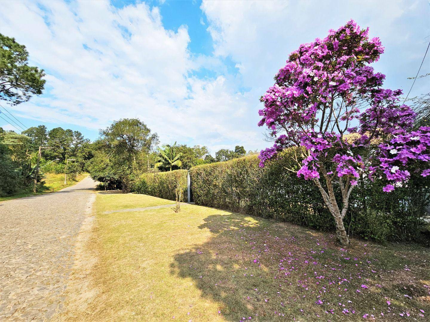 Casa de Condomínio à venda com 3 quartos, 300m² - Foto 3