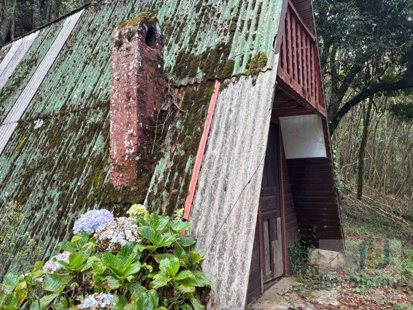 Terreno, 1046 m² - Foto 6