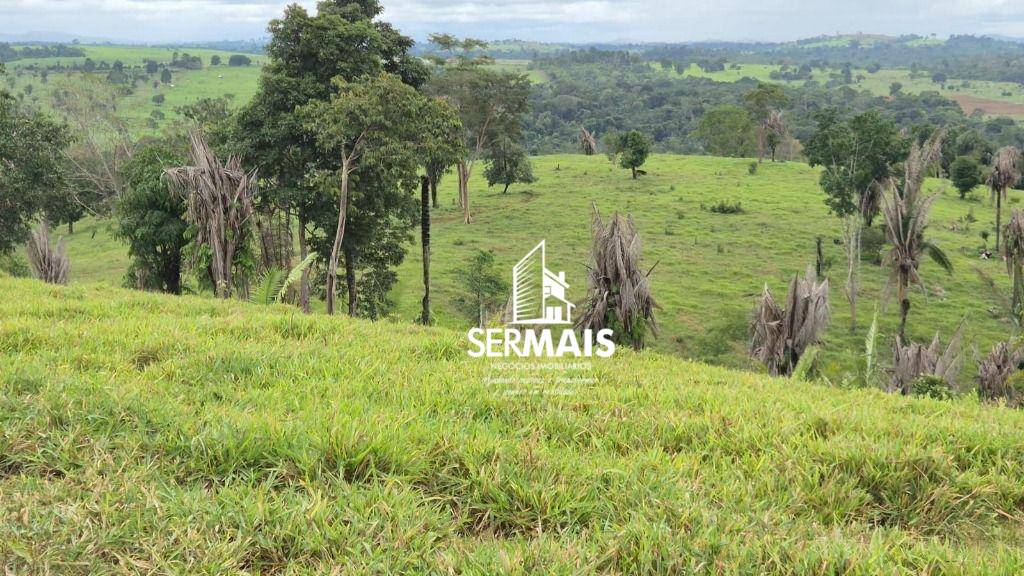 Fazenda, 280 hectares - Foto 3