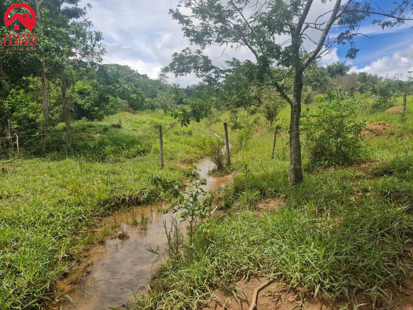 Fazenda à venda com 2 quartos, 120m² - Foto 61