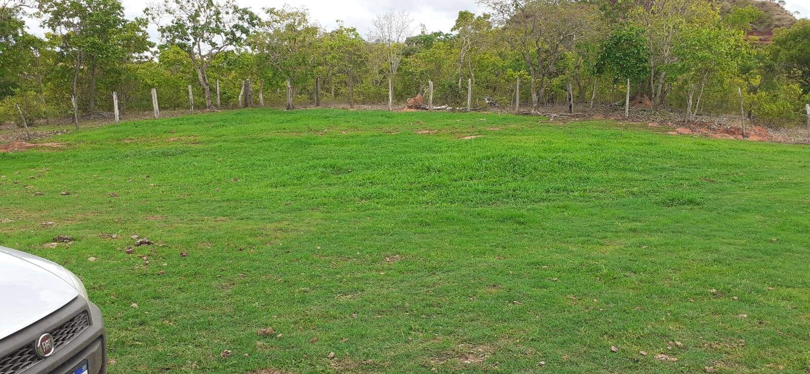 Fazenda à venda com 3 quartos, 10m² - Foto 10