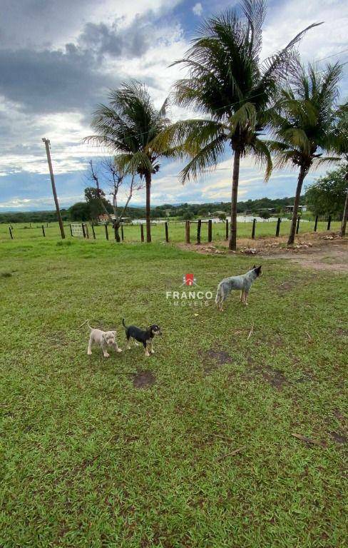 Fazenda à venda com 4 quartos, 53772400M2 - Foto 5