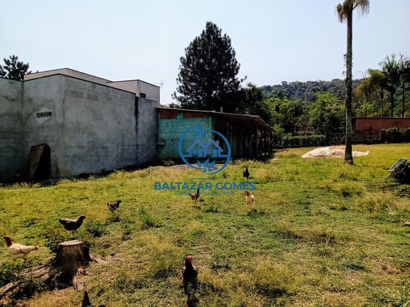 Fazenda à venda com 5 quartos, 10000m² - Foto 26