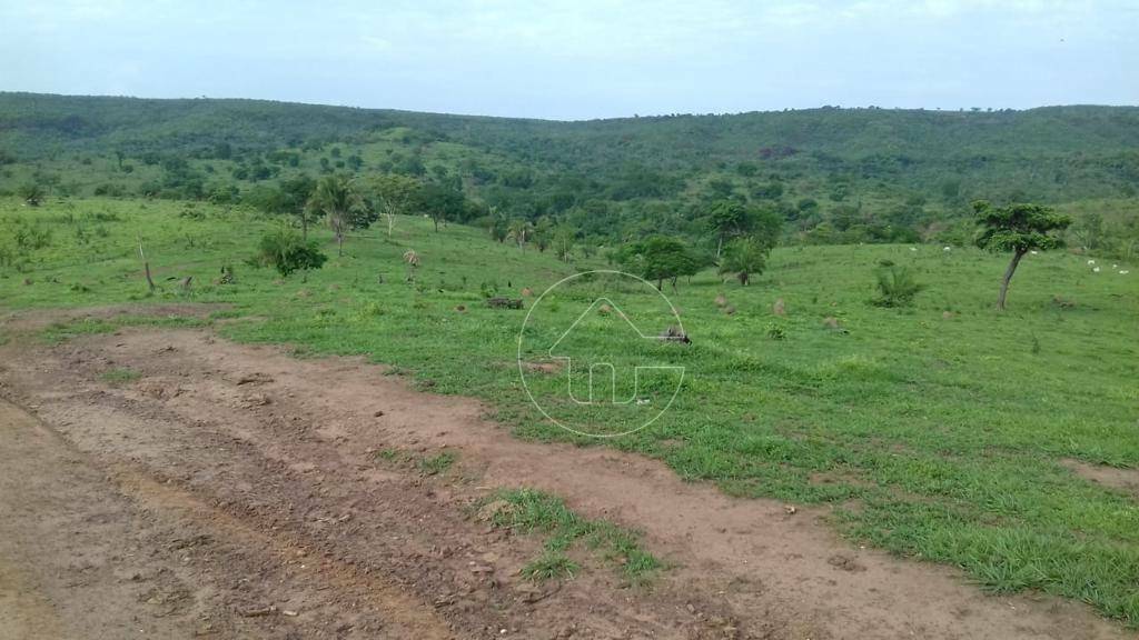 Fazenda à venda, 31460000M2 - Foto 7