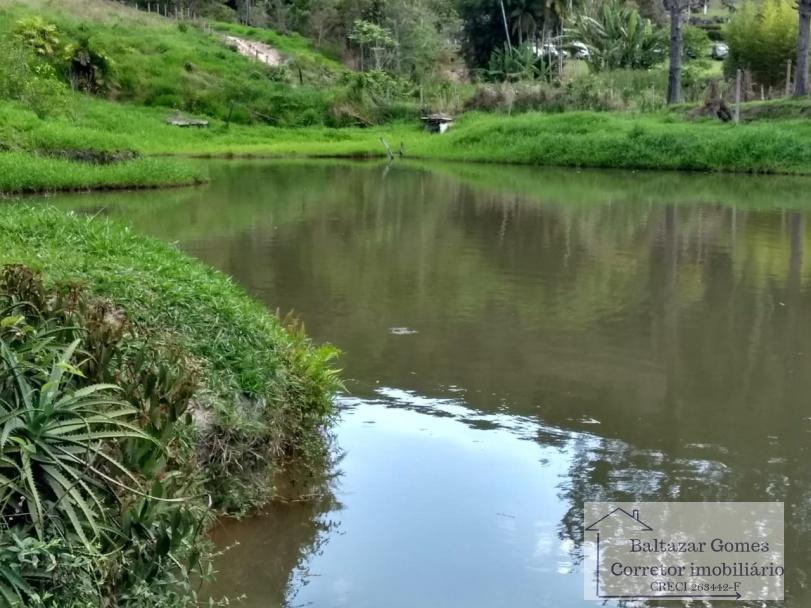 Fazenda à venda com 3 quartos, 150000m² - Foto 4