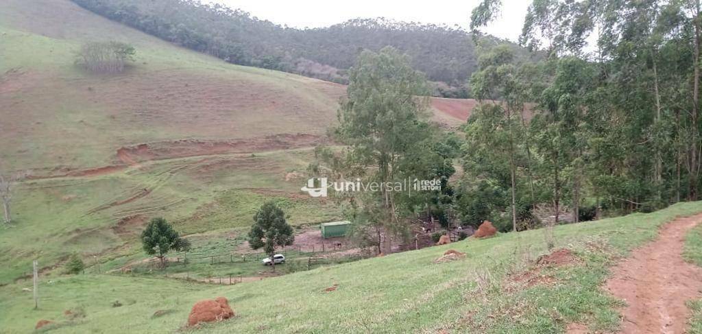 Fazenda à venda com 3 quartos, 1110000M2 - Foto 72