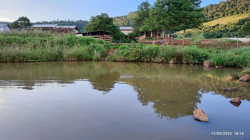 Fazenda à venda com 2 quartos, 8m² - Foto 4