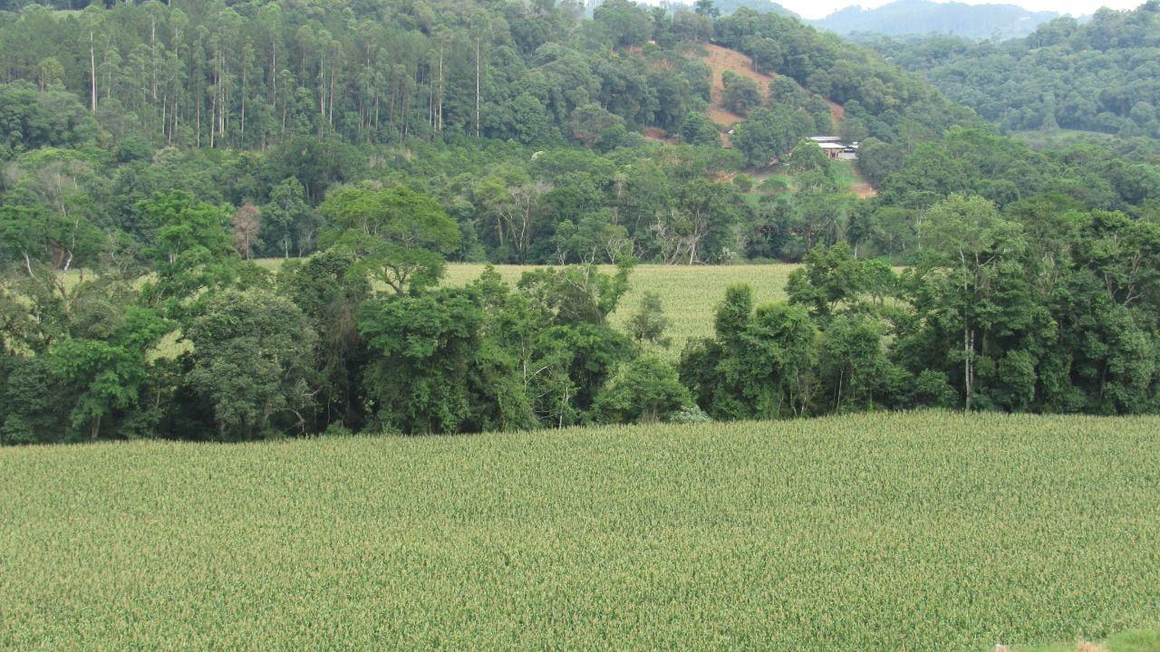 Loteamento e Condomínio à venda, 180000m² - Foto 25