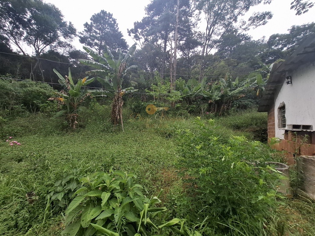 Terreno à venda, 216036m² - Foto 6