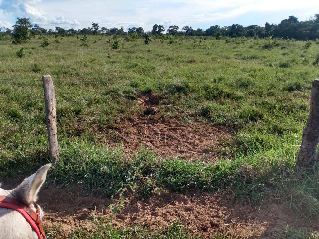 Fazenda à venda, 9873600M2 - Foto 2