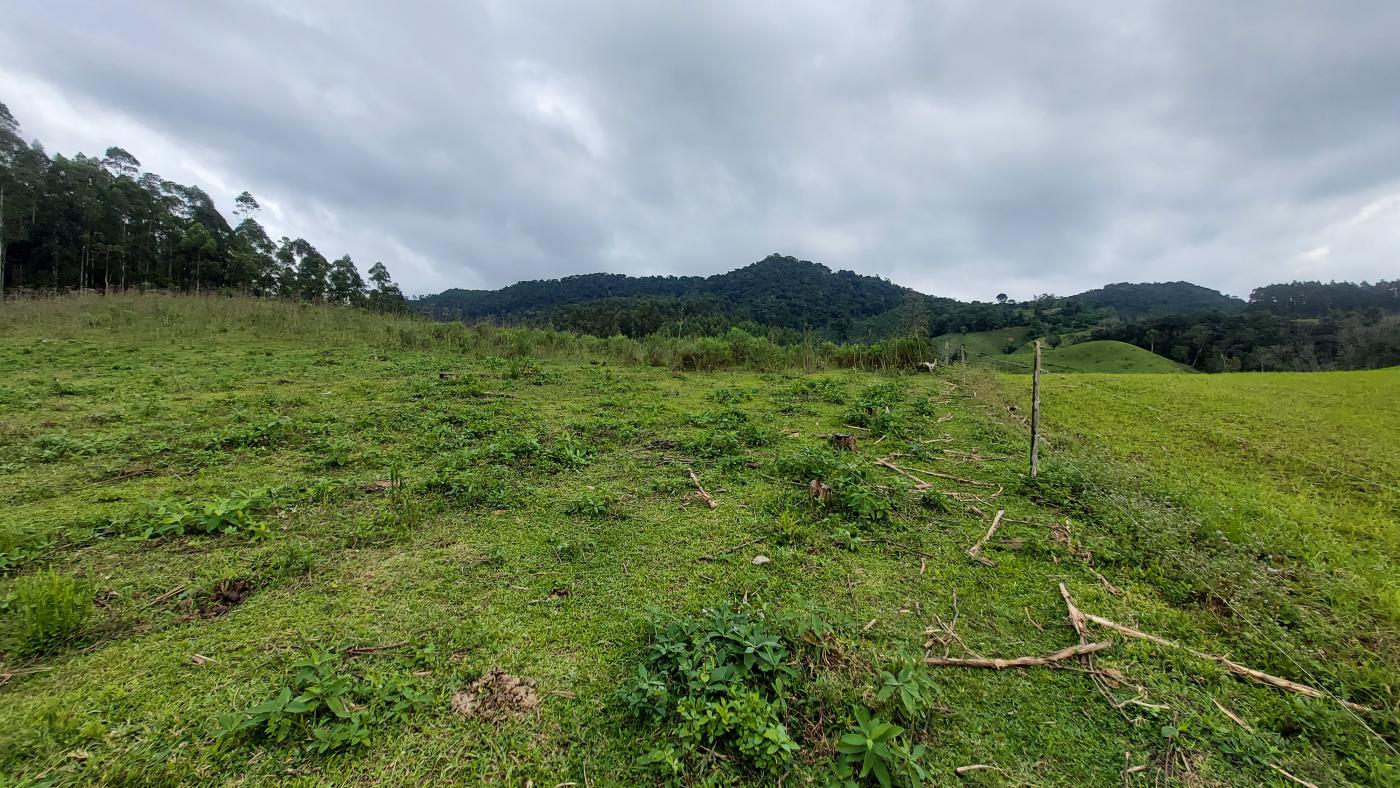 Fazenda à venda, 100000m² - Foto 3