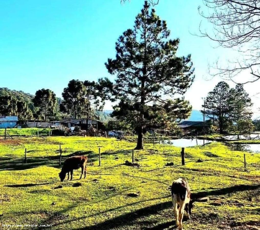 Fazenda à venda, 1m² - Foto 3