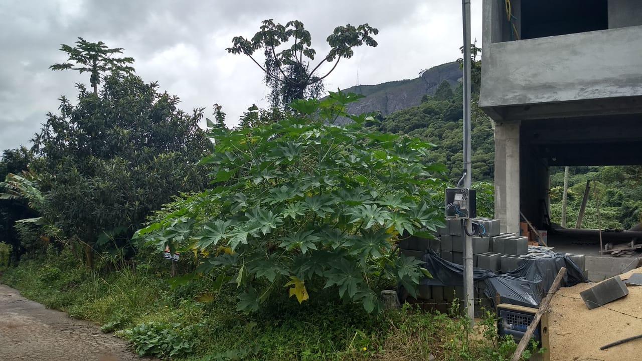 Terreno à venda, 439M2 - Foto 3