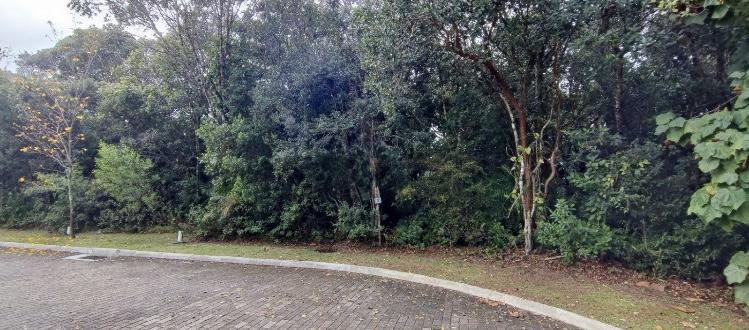 Terreno à venda, 396m² - Foto 5
