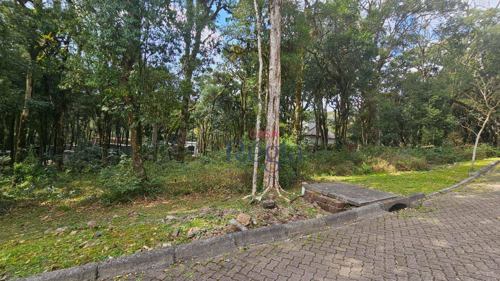 Loteamento e Condomínio à venda, 646M2 - Foto 13