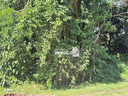 Loteamento e Condomínio à venda, 1000M2 - Foto 8