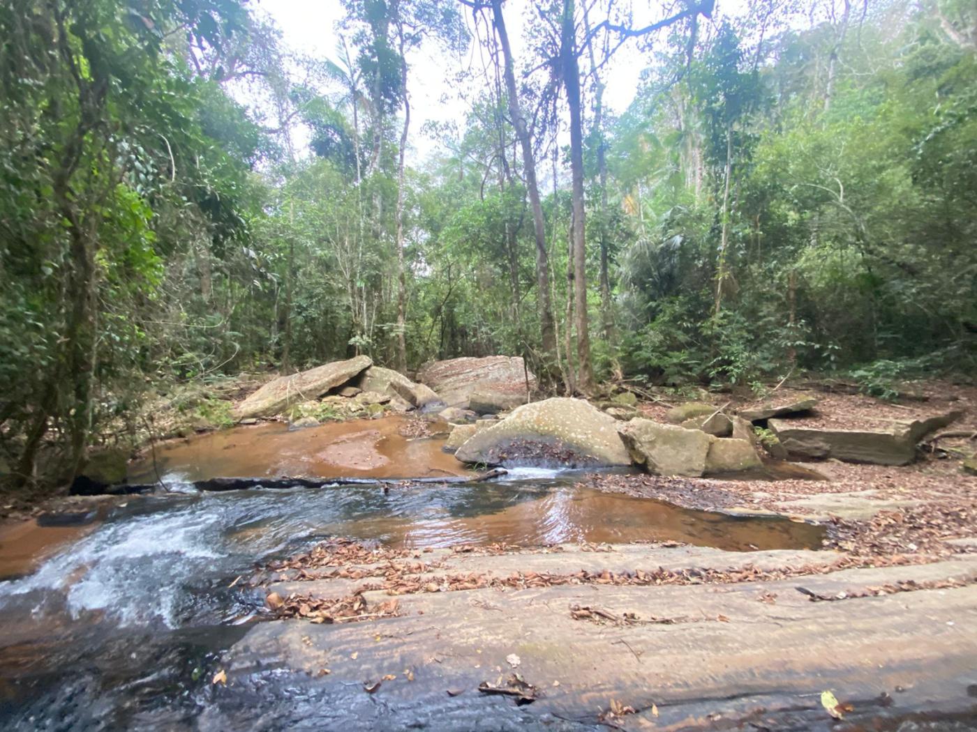 Fazenda à venda com 5 quartos, 170000m² - Foto 26