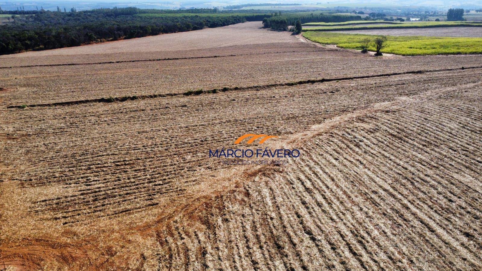 Fazenda, 78 hectares - Foto 3