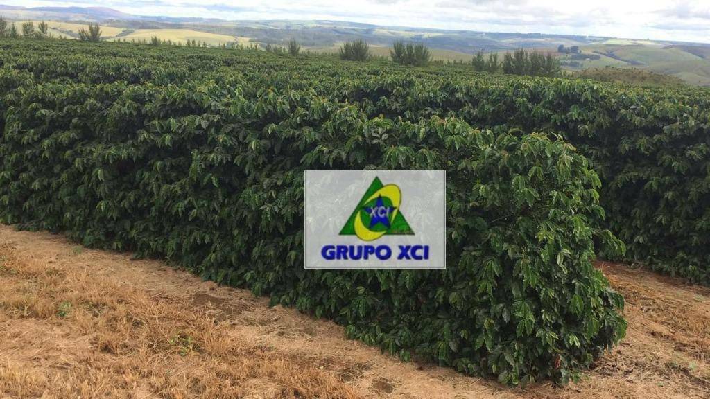 Fazenda-Sítio-Chácara, 101640 hectares - Foto 27