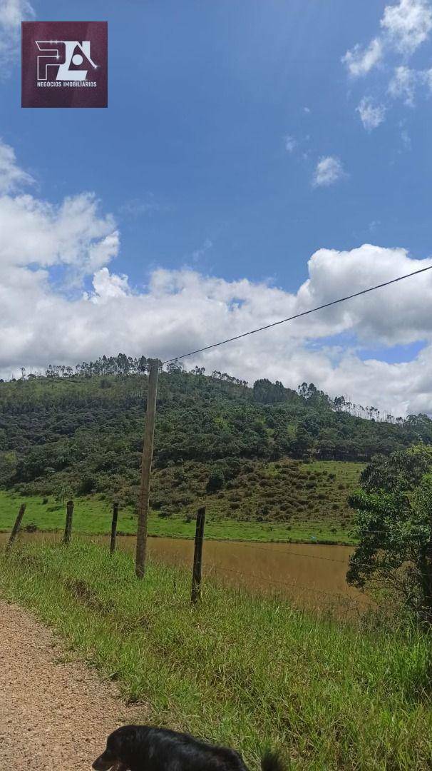 Fazenda à venda com 4 quartos, 1452000M2 - Foto 31