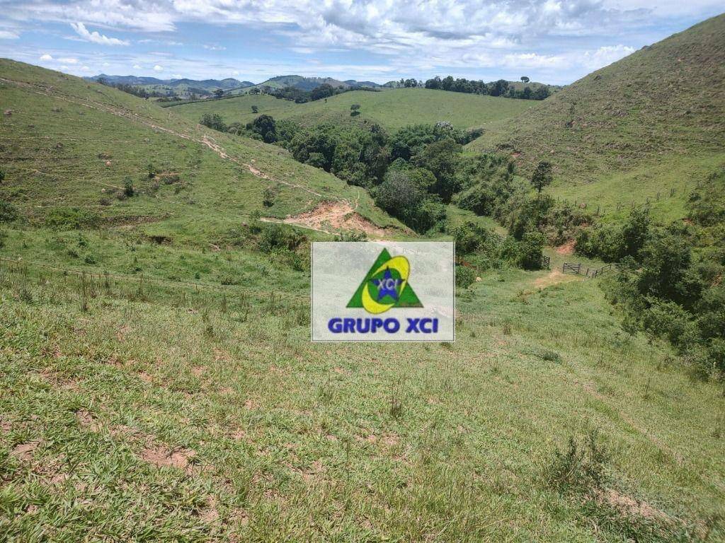 Fazenda à venda, 1060000M2 - Foto 10