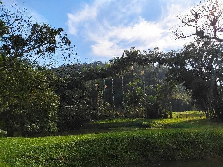 Terreno à venda, 10000m² - Foto 4