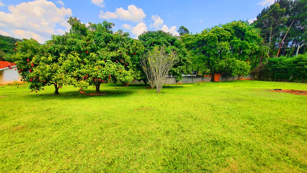 Fazenda à venda com 2 quartos, 3768m² - Foto 15