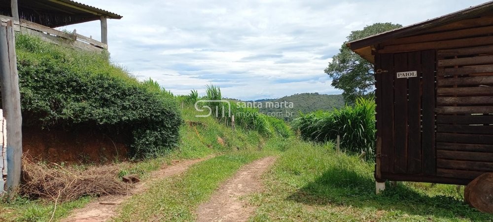 Fazenda à venda com 1 quarto, 150m² - Foto 39