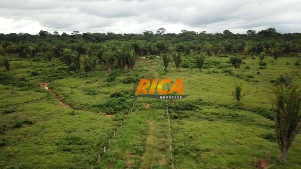 Fazenda à venda, 10000000M2 - Foto 11