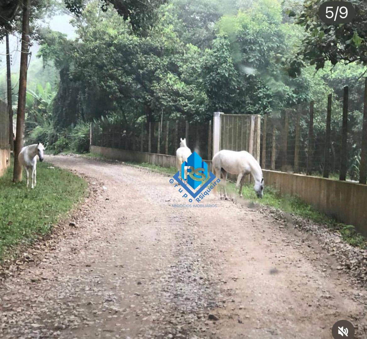 Chácara à venda com 3 quartos, 185m² - Foto 5