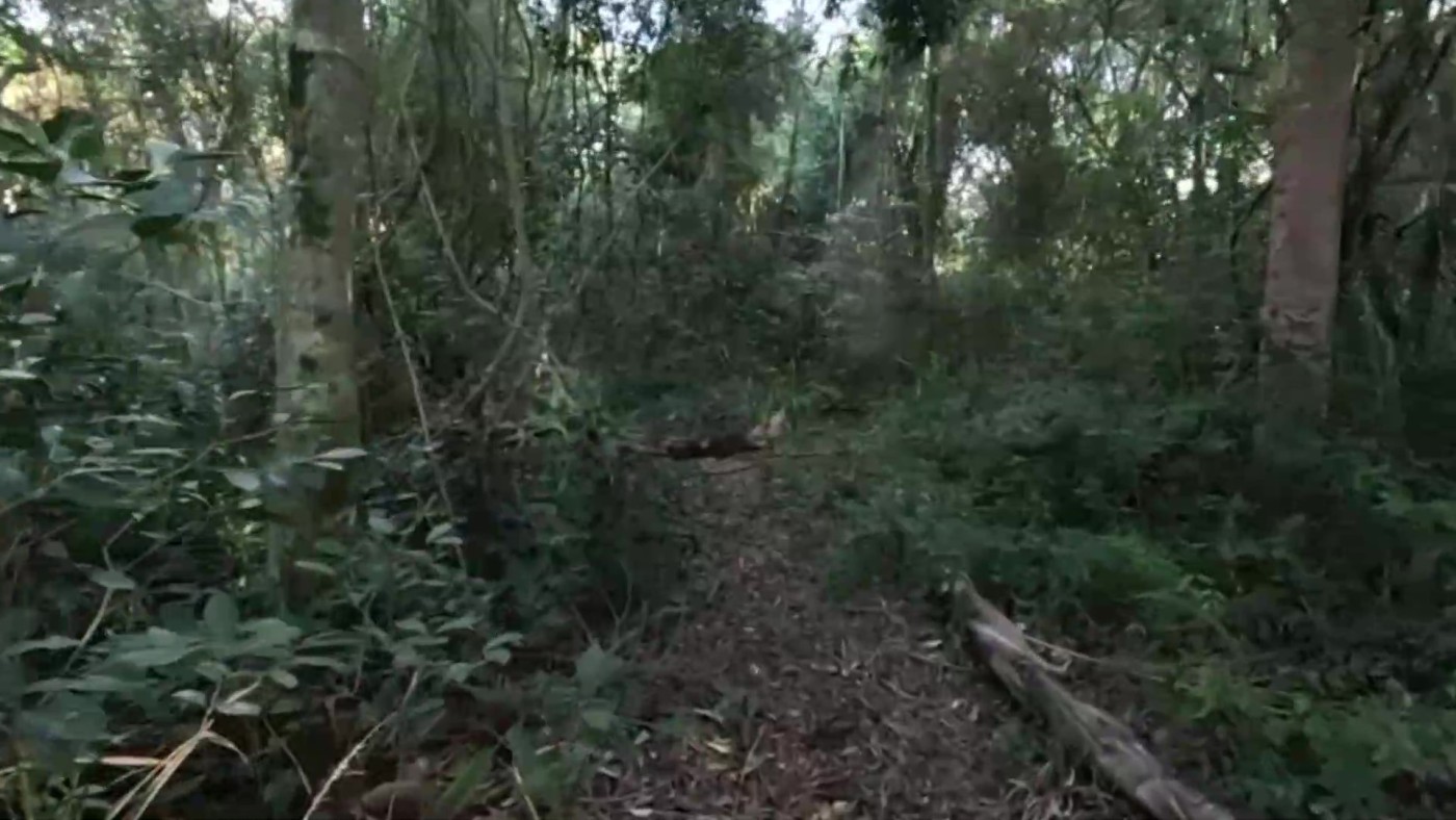 Chácara à venda com 2 quartos, 17500m² - Foto 28