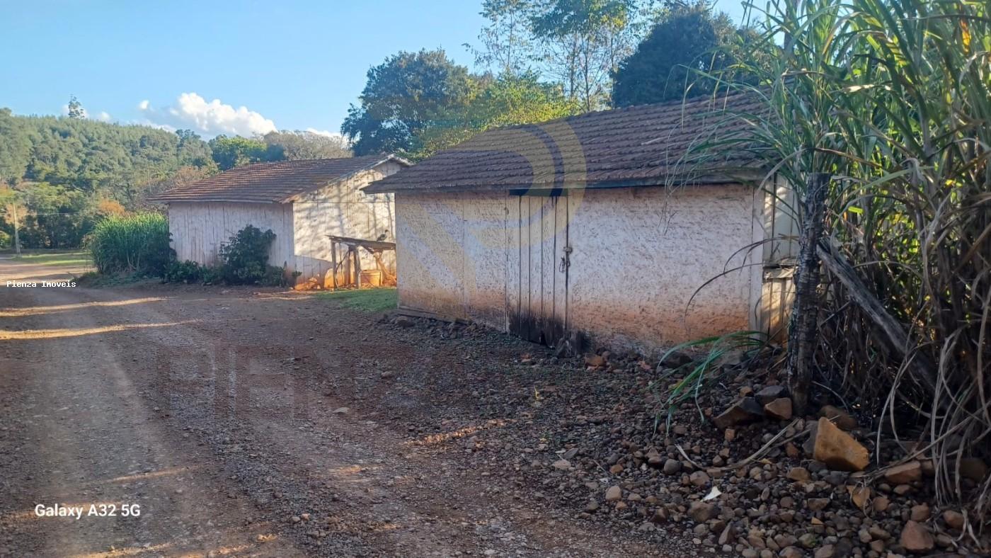 Chácara à venda com 4 quartos, 7300m² - Foto 9