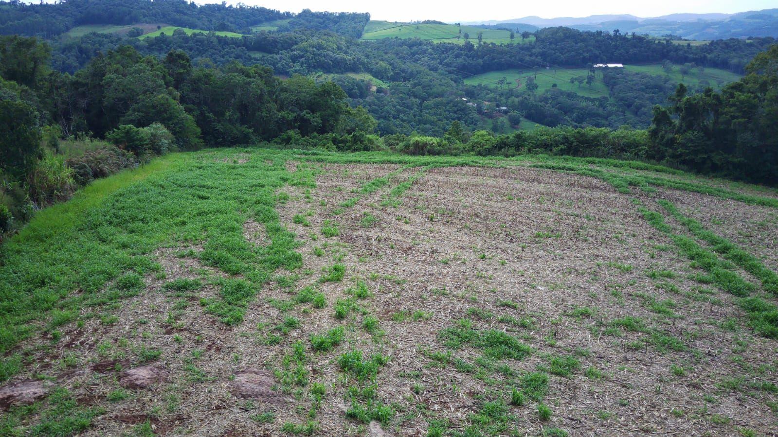 Loteamento e Condomínio à venda, 60000m² - Foto 3