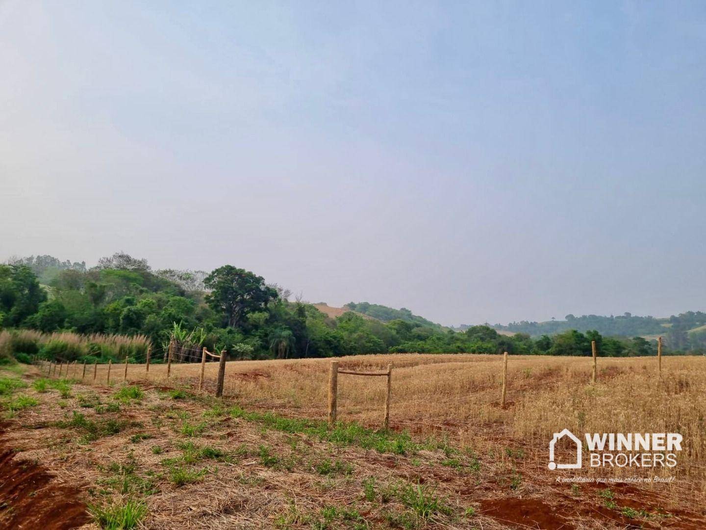 Terreno, 4500 m² - Foto 2