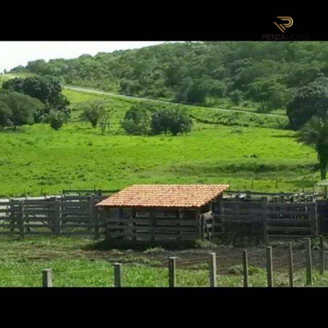 Fazenda-Sítio-Chácara, 103 hectares - Foto 3