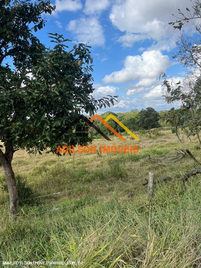 Sítio à venda com 3 quartos, 24200m² - Foto 2