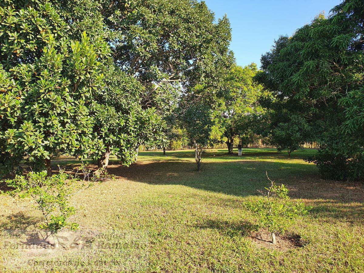 Fazenda à venda com 4 quartos, 5600m² - Foto 55