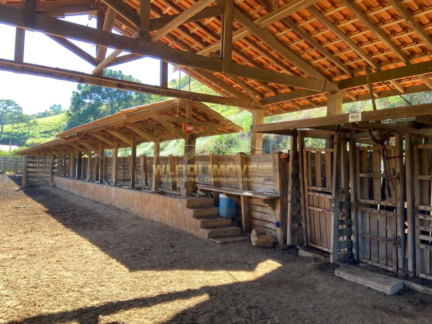 Fazenda à venda, 100m² - Foto 33