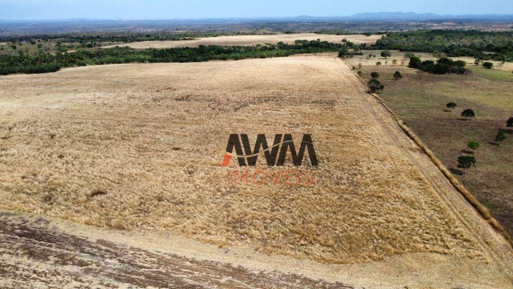 Fazenda à venda, 22118800M2 - Foto 4