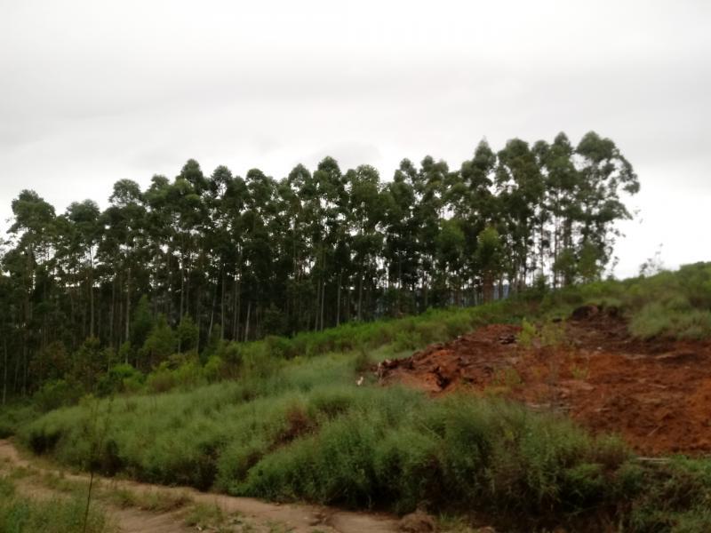 Fazenda à venda, 5000m² - Foto 14