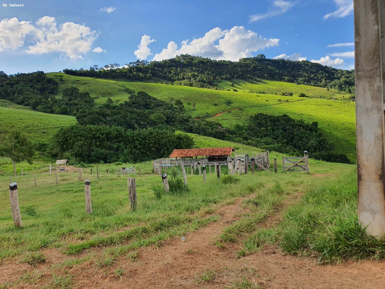 Fazenda à venda com 2 quartos, 220m² - Foto 13