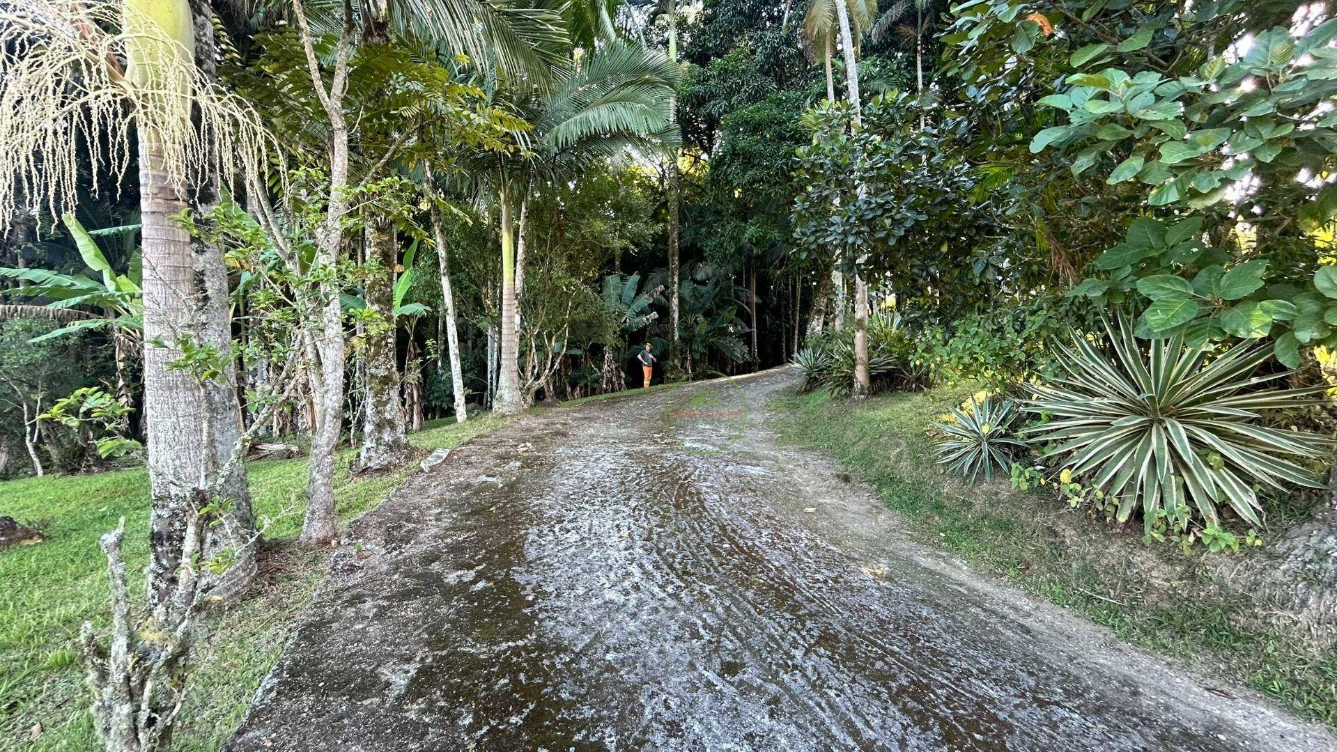 Sítio, 3 hectares - Foto 5