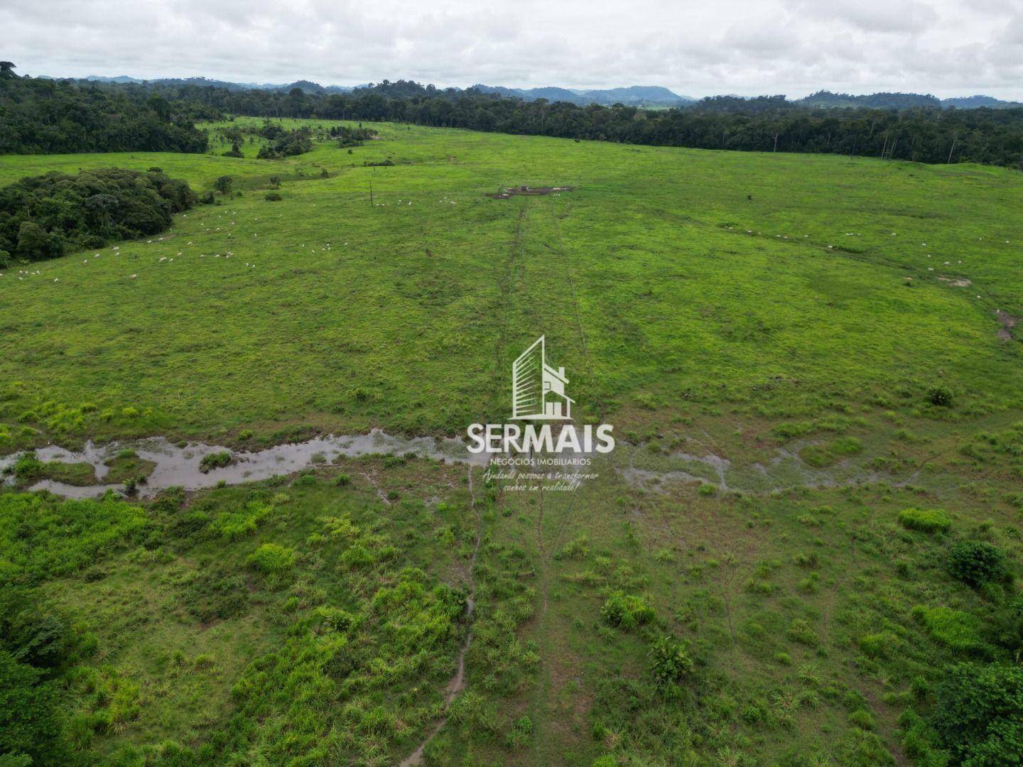 Fazenda à venda, 5445000M2 - Foto 14
