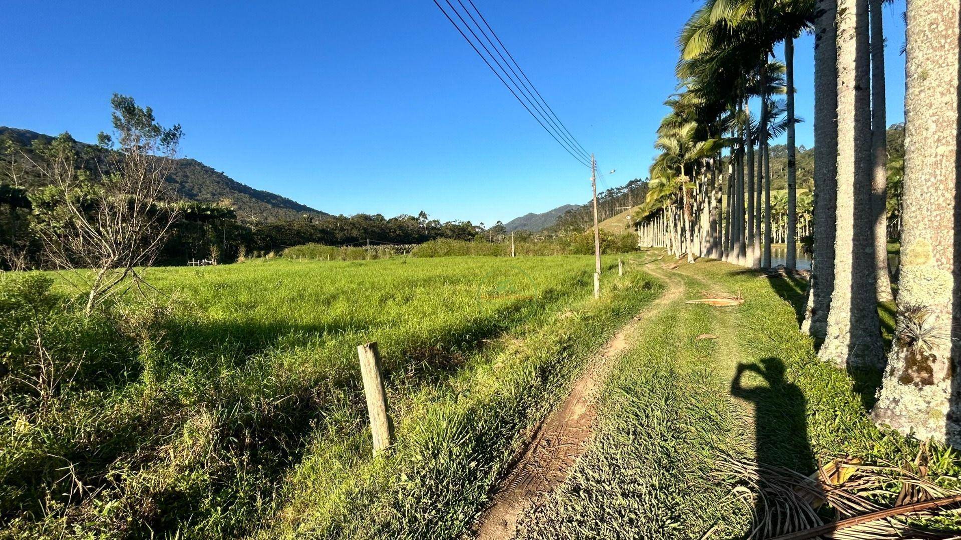 Sítio, 19 hectares - Foto 8