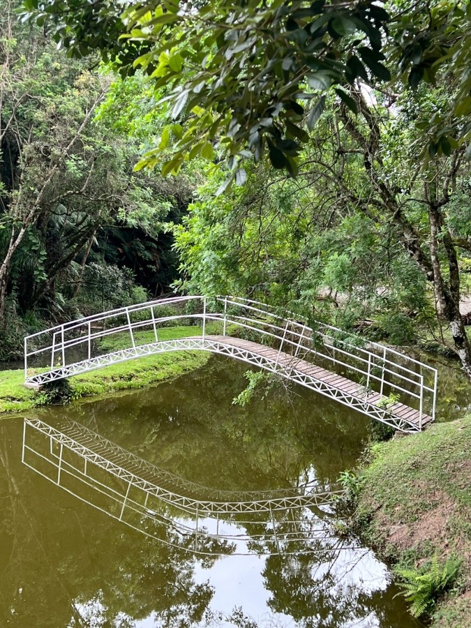 Fazenda à venda, 24200m² - Foto 9