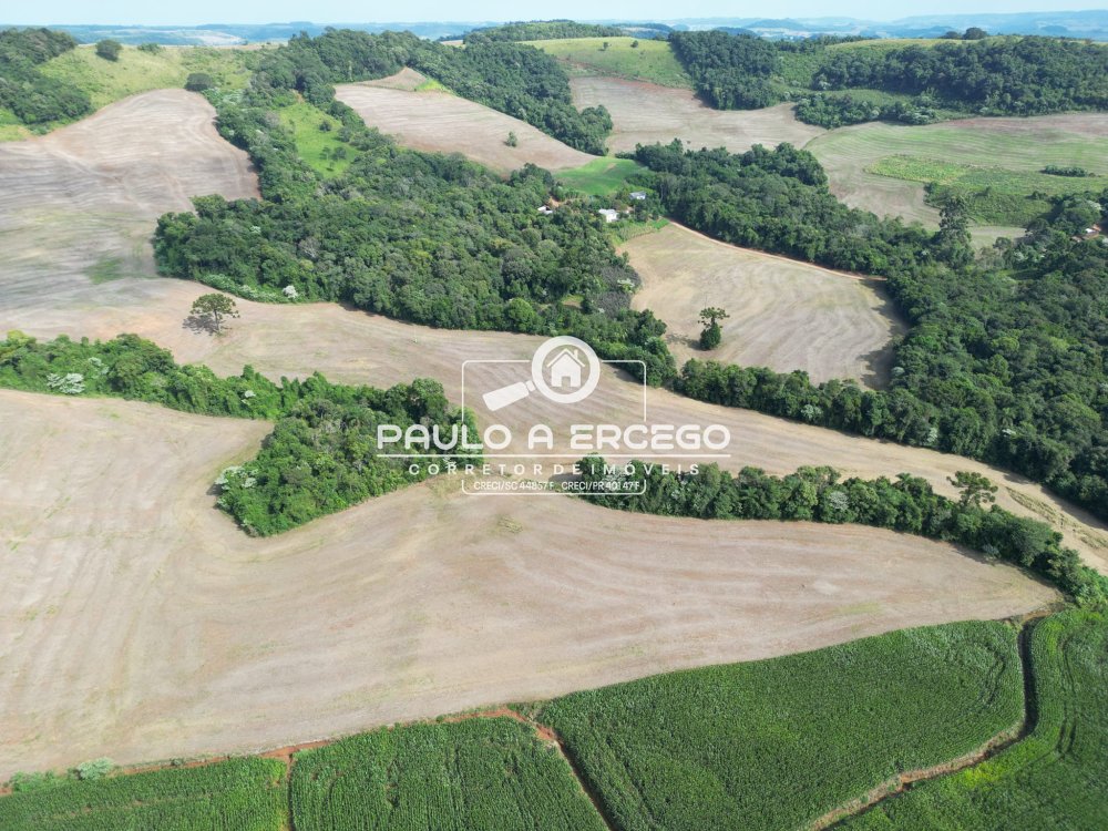 Fazenda-Sítio-Chácara, 41 hectares - Foto 4