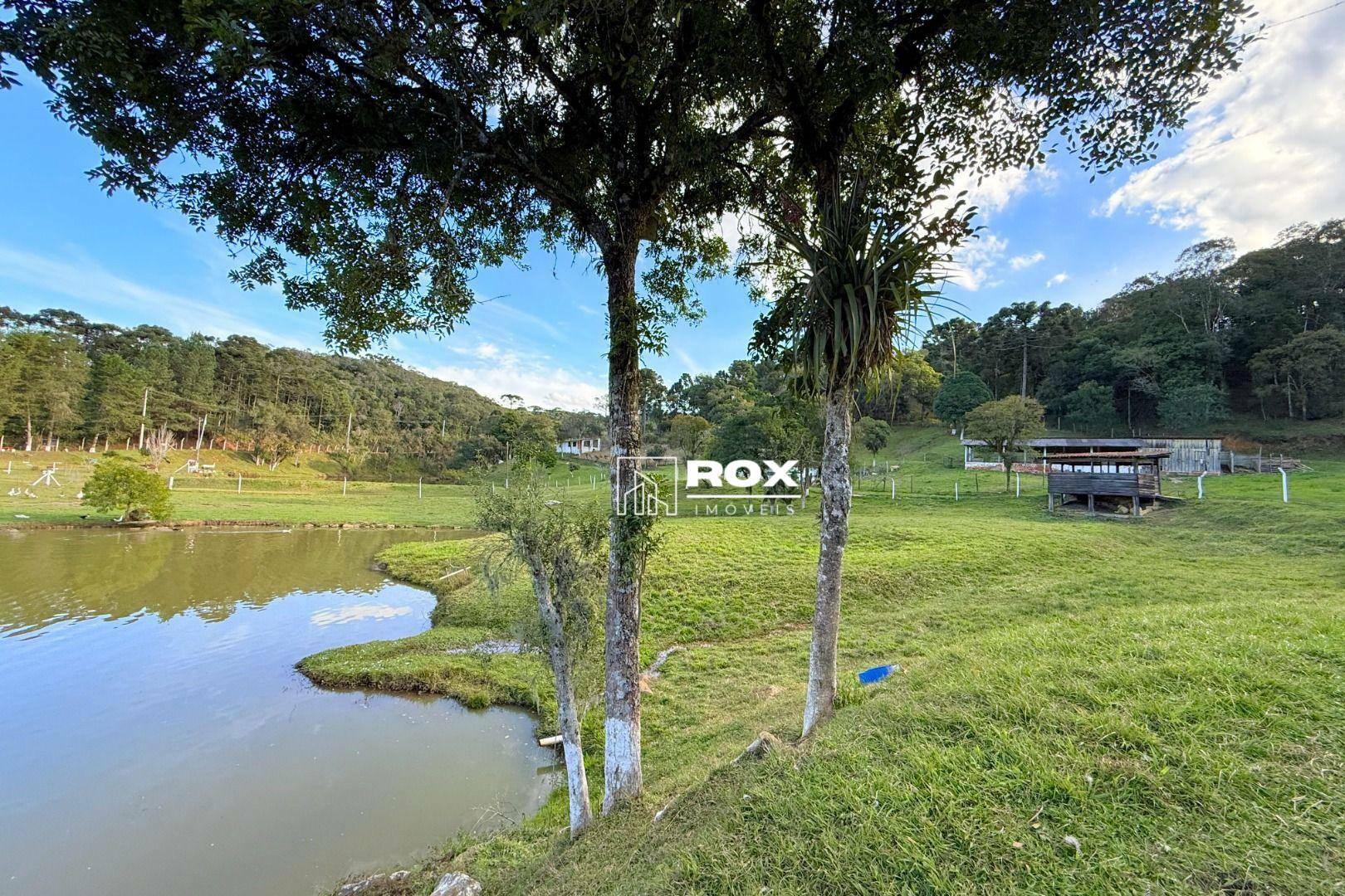 Chácara à venda com 6 quartos, 350m² - Foto 32