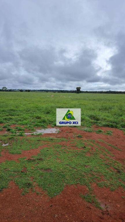 Fazenda à venda, 1766600M2 - Foto 20