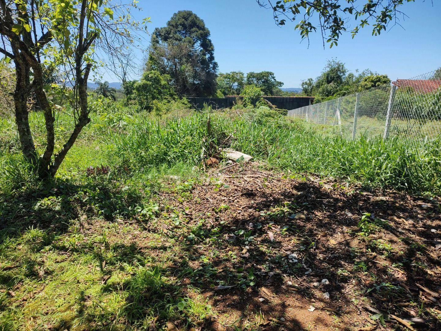 Loteamento e Condomínio à venda, 1162M2 - Foto 3