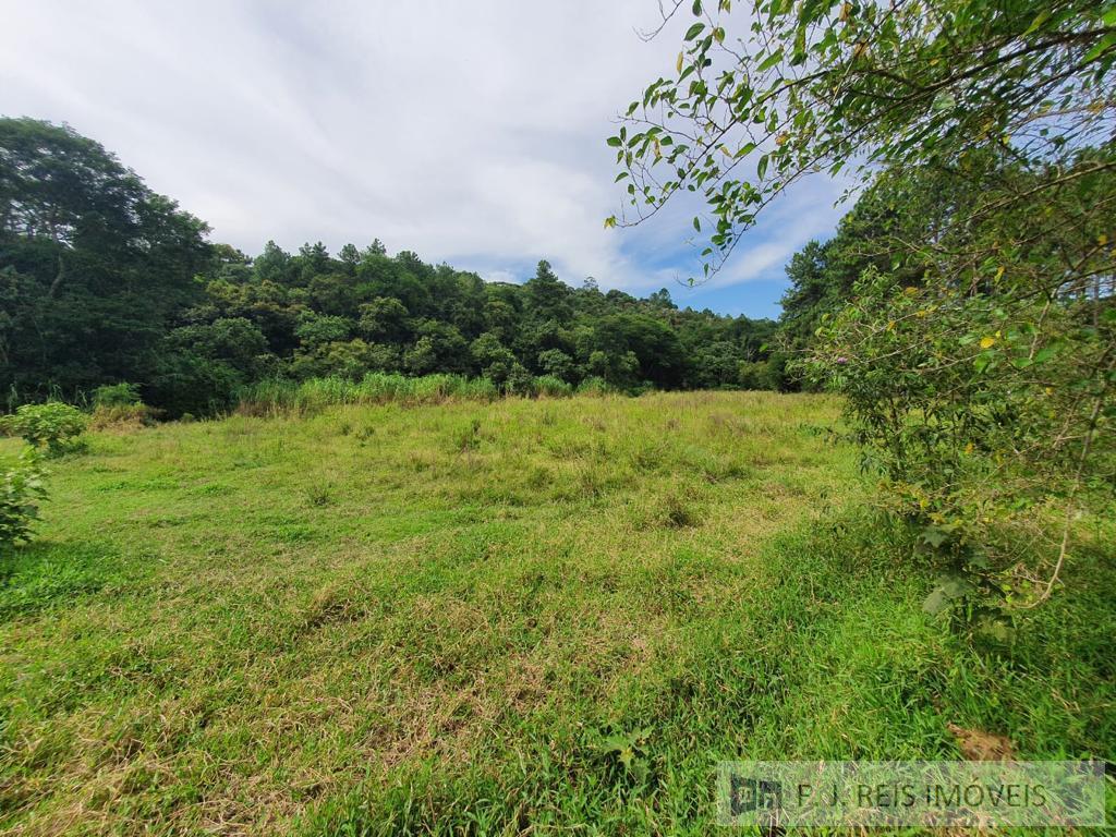 Fazenda à venda com 3 quartos, 8800m² - Foto 36